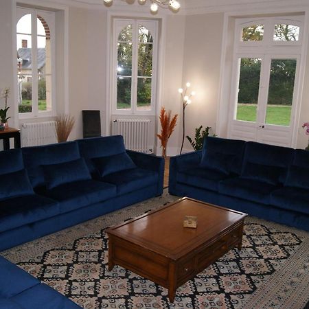 Le Chateau De La Brosse Chambres D'Hotes Brinay  Eksteriør billede