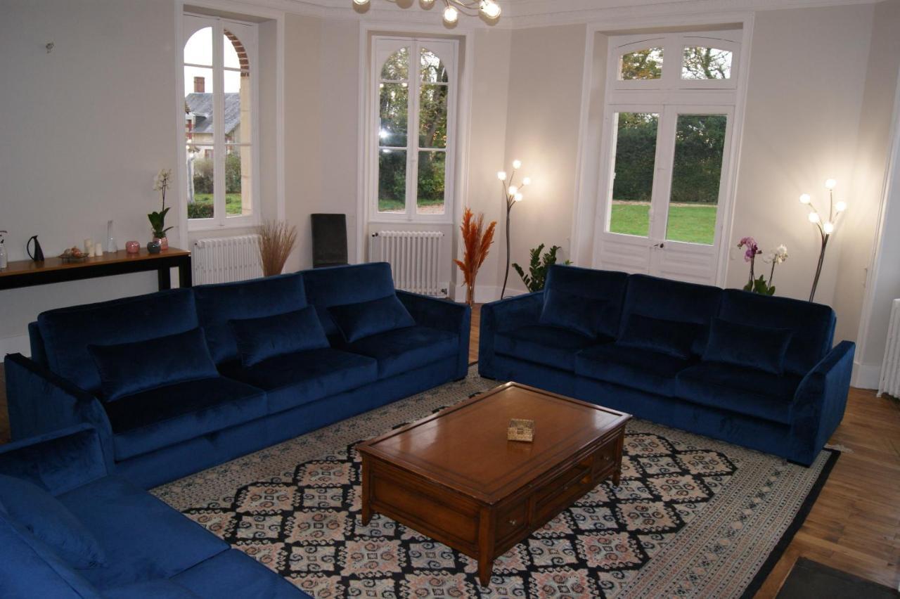 Le Chateau De La Brosse Chambres D'Hotes Brinay  Eksteriør billede