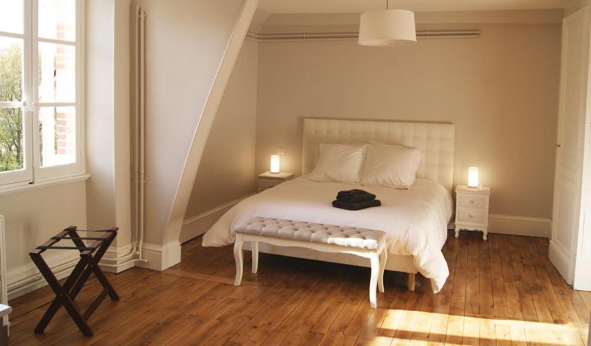 Le Chateau De La Brosse Chambres D'Hotes Brinay  Eksteriør billede